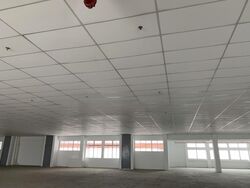 Loyang Industrial Estate (D17), Factory #458013751